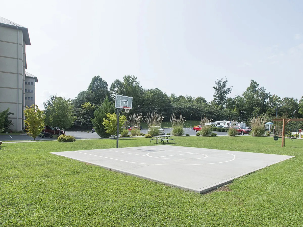 An exterior basketball court with a hoop, green grass, and a picnic table on the side, suggesting spaces for both active play and relaxing outdoor gatherings.