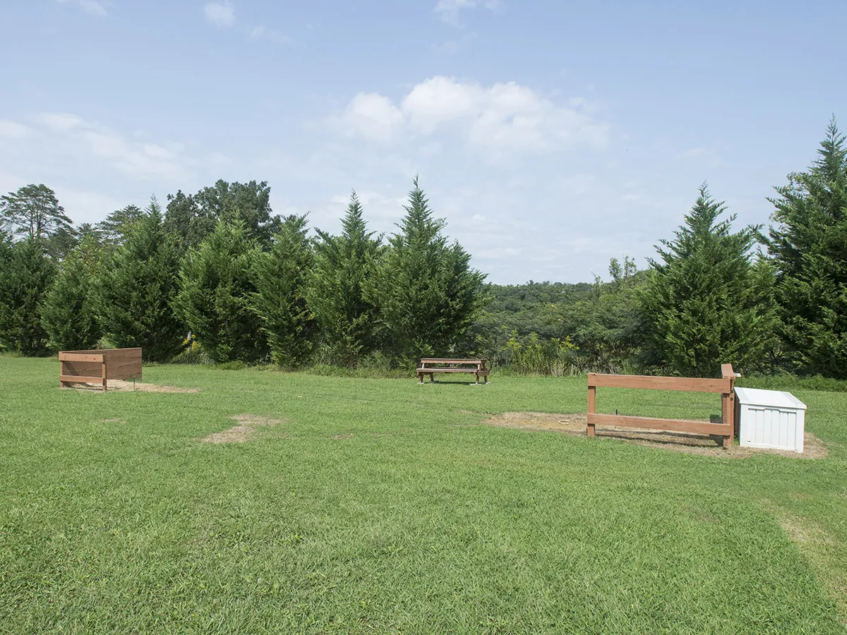 A tranquil outdoor area featuring wooden benches set on a grassy lawn, with a line of mature trees in the background. The space is designed for relaxation, group picnics, and outdoor gatherings—perfect for fostering connections among guests of all ages.